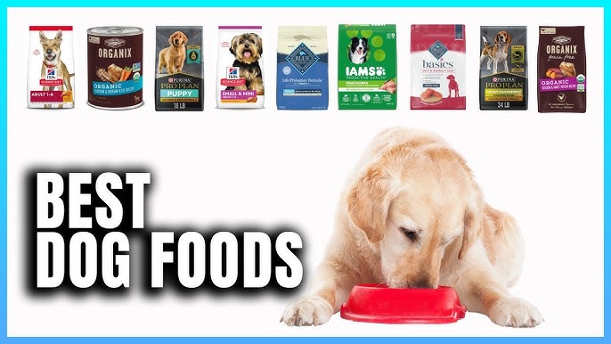 Best Dog Foods for Optimal Health