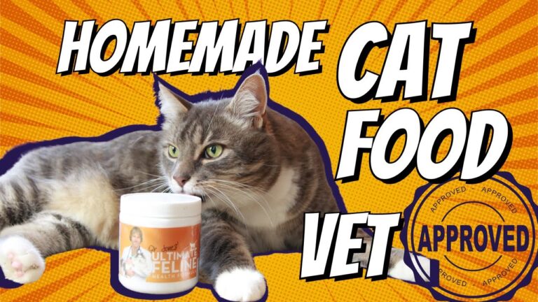 Homemade Cat Food Recipes
